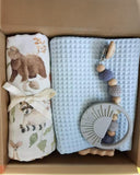 Premium Baby Gift Hamper | Newborn Essentials Gift Set with Dinosaur Theme